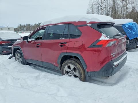 2023 Toyota RAV4, VIN 2T3RWRFV3PW166595. Фото 2 з 6 з аукціону Copart. Каталог авто зі США OpenDataCar.
