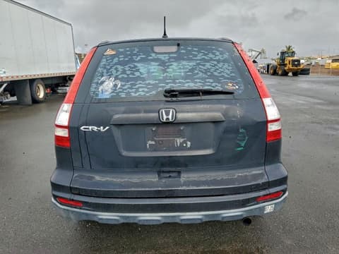 2010 Honda CR-V, VIN 5J6RE3H31AL019448. Фото 6 з 6 з аукціону Copart. Каталог авто зі США OpenDataCar.