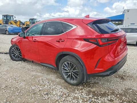 2023 Lexus NX 250, VIN 2T2ADCAZ7PC005327. Фото 2 з 6 з аукціону Copart. Каталог авто зі США OpenDataCar.