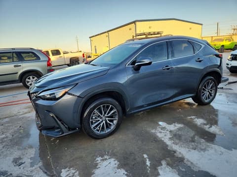 2024 Lexus NX 250, VIN 2T2ADCAZ2RC009806. Фото 1 з 6 з аукціону Copart. Каталог авто зі США OpenDataCar.