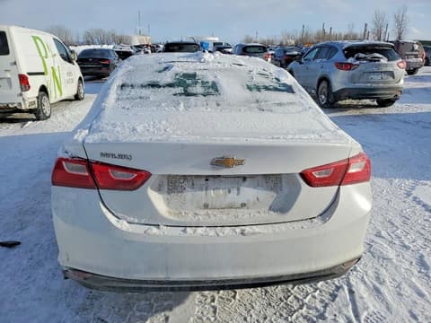 2019 Chevrolet Malibu, VIN 1G1ZB5ST8KF174185. Фото 6 з 6 з аукціону Copart. Каталог авто зі США OpenDataCar.