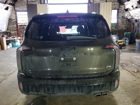 2025 Kia Telluride, VIN 5XYP3DGC4SG567385. Zdjęcie 6 z 6 z aukcji Copart. Katalog aut z USA OpenDataCar.