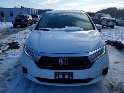 2024 Honda Odyssey, VIN 5FNRL6H83RB021113. Фото 5 з 6 з аукціону Copart. Каталог авто зі США OpenDataCar.