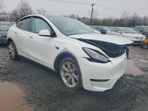 2023 Tesla Model Y, VIN 7SAYGDEE8PF685731. Фото 4 з 6 з аукціону Copart. Каталог авто зі США OpenDataCar.