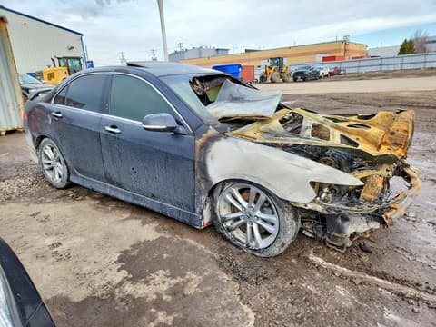 2004 Acura TSX, VIN JH4CL95814C800199. Фото 4 з 6 з аукціону Copart. Каталог авто зі США OpenDataCar.