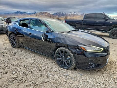 2023 Nissan Maxima, VIN 1N4AA6EV5PC505314. Фото 4 з 6 з аукціону Copart. Каталог авто зі США OpenDataCar.