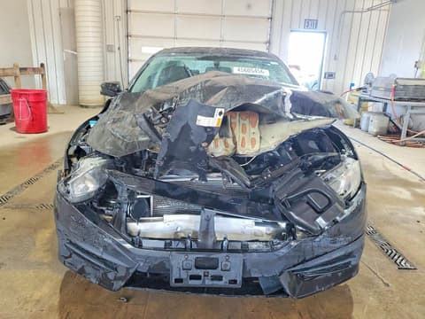 2018 Honda Civic, VIN 2HGFC2F79JH511822. Фото 5 з 6 з аукціону Copart. Каталог авто зі США OpenDataCar.