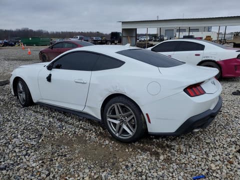 2024 Ford Mustang, VIN 1FA6P8TH4R5118970. Фото 2 з 6 з аукціону Copart. Каталог авто зі США OpenDataCar.