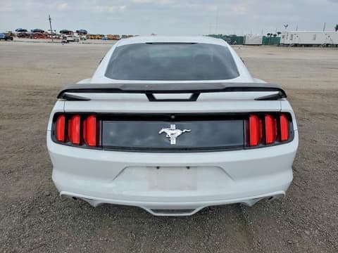 2017 Ford Mustang, VIN 1FA6P8AM9H5202524. Фото 6 з 6 з аукціону Copart. Каталог авто зі США OpenDataCar.