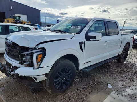 2025 Ford F-150 Lightning, VIN 1FTFW5LD2SFA73827. Фото 1 з 6 з аукціону Copart. Каталог авто зі США OpenDataCar.