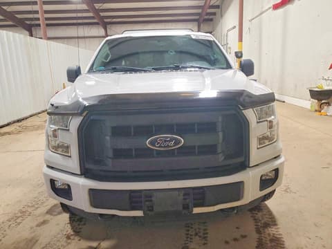 2016 Ford F-150, VIN 1FTEX1E86GFD58023. Фото 5 з 6 з аукціону Copart. Каталог авто зі США OpenDataCar.