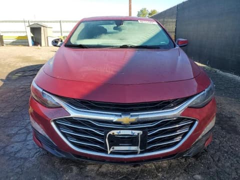 2019 Chevrolet Malibu Limited, VIN 1G1ZD5ST8KF212847. Фото 5 з 6 з аукціону Copart. Каталог авто зі США OpenDataCar.