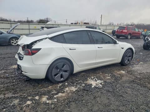 2023 Tesla Model 3, VIN 5YJ3E1EA8PF506810. Фото 3 з 6 з аукціону Copart. Каталог авто зі США OpenDataCar.