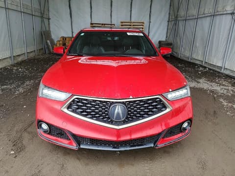 2019 Acura TLX, VIN 19UUB3F65KA800042. Фото 5 з 6 з аукціону Copart. Каталог авто зі США OpenDataCar.