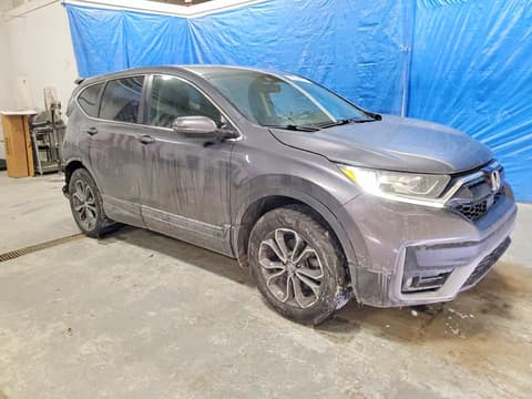 2021 Honda CR-V, VIN 5J6RW2H80MA013773. Фото 4 з 6 з аукціону Copart. Каталог авто зі США OpenDataCar.