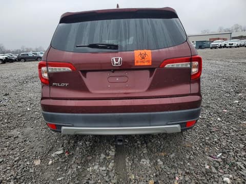 2019 Honda Pilot, VIN 5FNYF5H54KB004801. Фото 6 з 6 з аукціону Copart. Каталог авто зі США OpenDataCar.