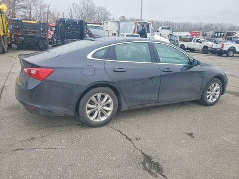 2023 Chevrolet Malibu Limited, VIN 1G1ZD5ST6PF240105. Фото 3 з 6 з аукціону Copart. Каталог авто зі США OpenDataCar.