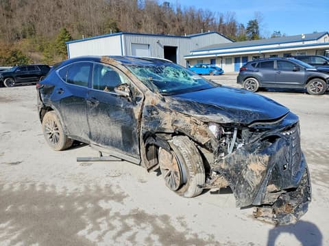 2025 Lexus NX, VIN 2T2AGCEZ0SC090005. Фото 4 из 6 с аукциона Copart. Каталог авто из США OpenDataCar.