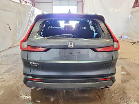 2024 Honda CR-V, VIN 7FARS5H55RE008144. Фото 6 з 6 з аукціону Copart. Каталог авто зі США OpenDataCar.
