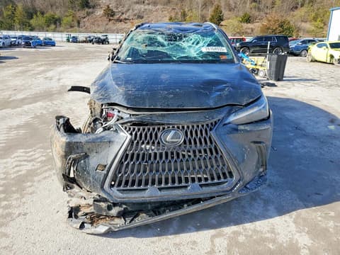 2025 Lexus NX, VIN 2T2AGCEZ0SC090005. Фото 5 из 6 с аукциона Copart. Каталог авто из США OpenDataCar.