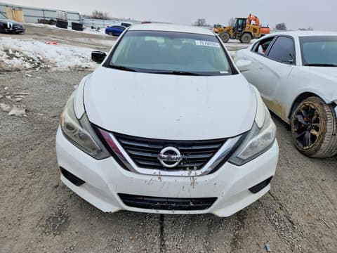 2017 Nissan Altima, VIN 1N4AL3AP0HN334591. Фото 5 з 6 з аукціону Copart. Каталог авто зі США OpenDataCar.