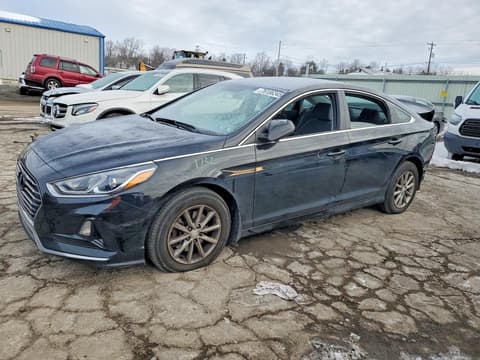 2019 Hyundai Sonata, VIN 5NPE24AF2KH800489. Фото 1 з 6 з аукціону Copart. Каталог авто зі США OpenDataCar.