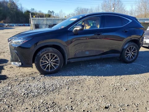 2024 Lexus NX 350, VIN 2T2AGCEZ0RC045916. Фото 1 з 6 з аукціону Copart. Каталог авто зі США OpenDataCar.