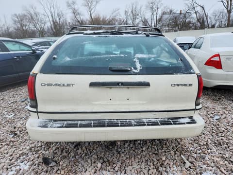 1991 Chevrolet Caprice, VIN 1G1BL83E3MW222744. Фото 6 з 6 з аукціону Copart. Каталог авто зі США OpenDataCar.