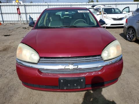 2005 Chevrolet Malibu, VIN 1G1ZT62885F203185. Фото 5 з 6 з аукціону Copart. Каталог авто зі США OpenDataCar.