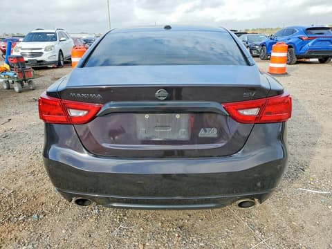 2016 Nissan Maxima, VIN 1N4AA6AP3GC406868. Фото 6 з 6 з аукціону Copart. Каталог авто зі США OpenDataCar.