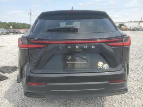 2025 Lexus NX 250, VIN 2T2ADCAZ1SC020205. Фото 6 з 6 з аукціону Copart. Каталог авто зі США OpenDataCar.