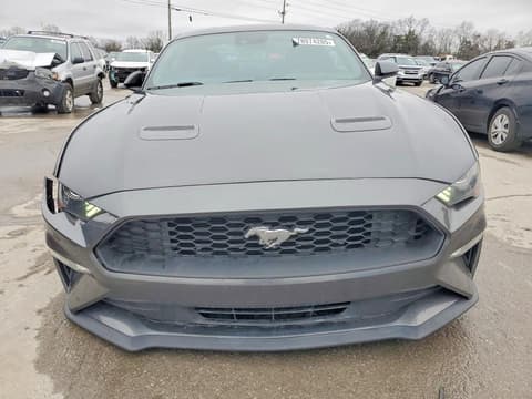 2019 Ford Mustang, VIN 1FA6P8TH7K5101800. Фото 5 з 6 з аукціону Copart. Каталог авто зі США OpenDataCar.