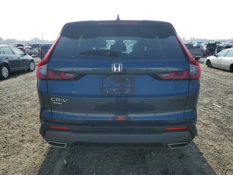 2024 Honda Pilot, VIN 7FARS6H87RE010509. Фото 6 з 6 з аукціону Copart. Каталог авто зі США OpenDataCar.