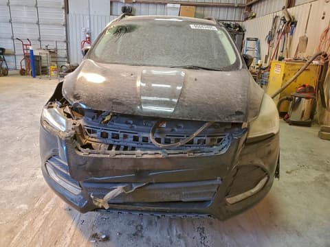 2014 Ford Escape, VIN 1FMCU0GX2EUB28658. Фото 5 з 6 з аукціону Copart. Каталог авто зі США OpenDataCar.