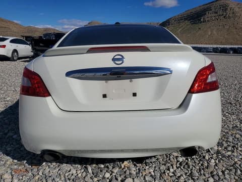 2010 Nissan Maxima, VIN 1N4AA5AP7AC823461. Фото 6 з 6 з аукціону Copart. Каталог авто зі США OpenDataCar.