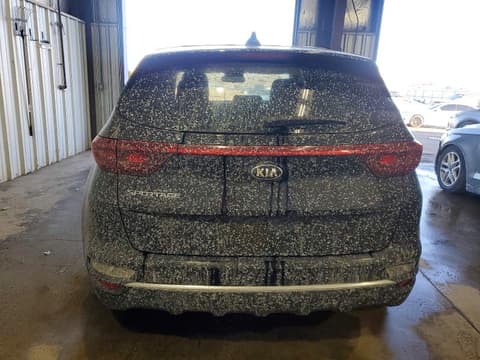 2022 Kia Sportage, VIN KNDPM3AC7N7969077. Фото 6 из 6 с аукциона Copart. Каталог авто из США OpenDataCar.