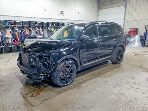 2023 Kia Telluride, VIN 5XYP5DGC5PG336884. Фото 1 з 6 з аукціону Copart. Каталог авто зі США OpenDataCar.