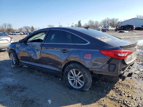 2016 Hyundai Sonata, VIN 5NPE24AF9GH407337. Фото 2 з 6 з аукціону Copart. Каталог авто зі США OpenDataCar.