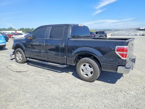 2013 Ford F-150 Lightning, VIN 1FTEW1CM2DFC51002. Фото 2 з 6 з аукціону Copart. Каталог авто зі США OpenDataCar.