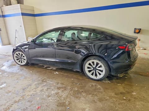 2023 Tesla Model 3, VIN 5YJ3E1EA1PF449155. Фото 2 з 6 з аукціону Copart. Каталог авто зі США OpenDataCar.