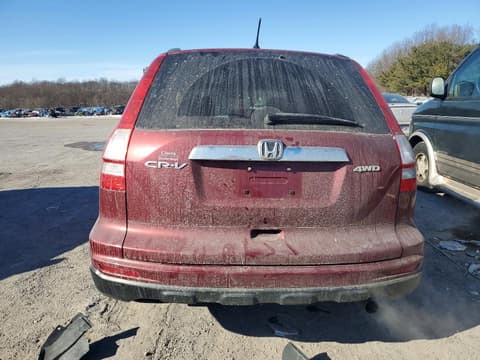 2010 Honda CR-V, VIN 5J6RE4H56AL064229. Фото 6 з 6 з аукціону Copart. Каталог авто зі США OpenDataCar.