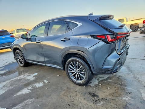 2024 Lexus NX 250, VIN 2T2ADCAZ2RC009806. Фото 2 з 6 з аукціону Copart. Каталог авто зі США OpenDataCar.