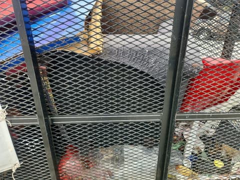 2023 Max built Unknown, VIN 7K4AU1423PC017131. Zdjęcie 5 z 6 z aukcji Copart. Katalog aut z USA OpenDataCar.