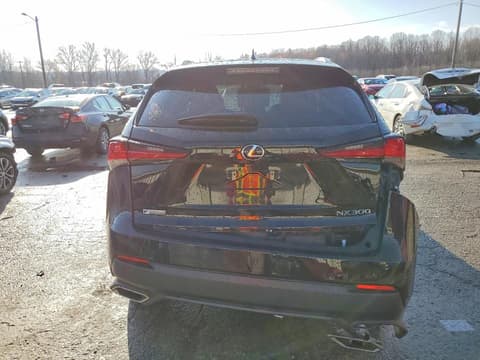 2021 Lexus NX 300, VIN JTJSARDZ2M2250429. Фото 6 з 6 з аукціону Copart. Каталог авто зі США OpenDataCar.