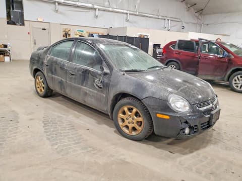 2003 Dodge Neon, VIN 1B3ES56C43D259152. Фото 4 из 6 с аукциона Copart. Каталог авто из США OpenDataCar.