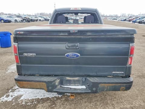 2013 Ford F-150, VIN 1FTFX1EF2DFB25206. Фото 6 з 6 з аукціону Copart. Каталог авто зі США OpenDataCar.