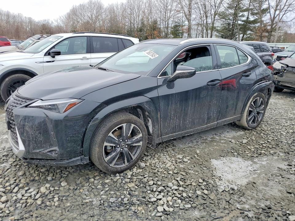 2023 Lexus UX 250h