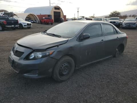 2010 Toyota Corolla, VIN 1NXBU4EE5AZ338816. Фото 1 з 6 з аукціону Copart. Каталог авто зі США OpenDataCar.