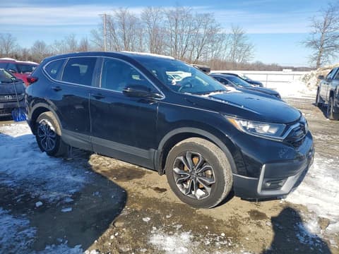 2021 Honda CR-V, VIN 5J6RW2H50MA008451. Фото 4 з 6 з аукціону Copart. Каталог авто зі США OpenDataCar.