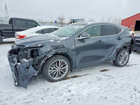 2025 Lexus NX 350, VIN 2T2GKCEZ7SC038332. Zdjęcie 1 z 6 z aukcji Copart. Katalog aut z USA OpenDataCar.